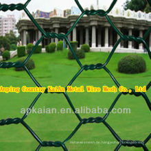 Hebei Anping KAIAN Doppel Twist Sechskant Mesh